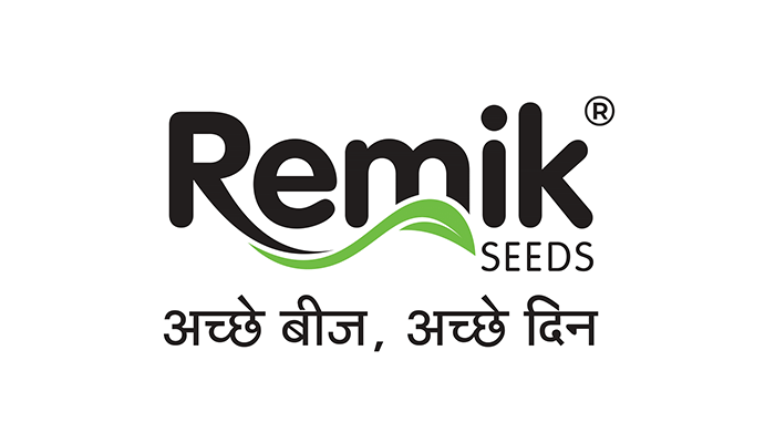 remik logo